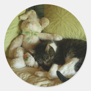 Pegatinas del amigo del conejito y del gatito