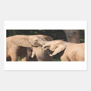 Pegatinas del amor del elefante