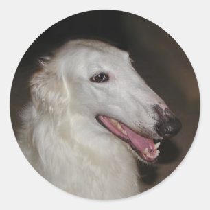 Pegatinas del Borzoi