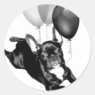 Pegatinas del bulldog francés del cumpleaños