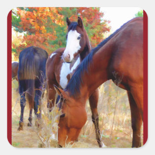 Pegatinas del caballo