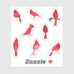 Pegatinas del Cardenal Rojo