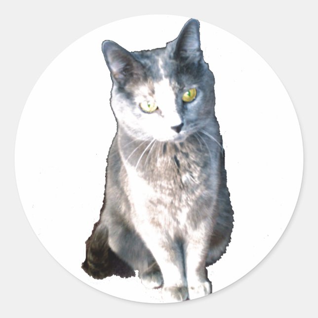 Pegatinas del Cat 11 (Anverso)