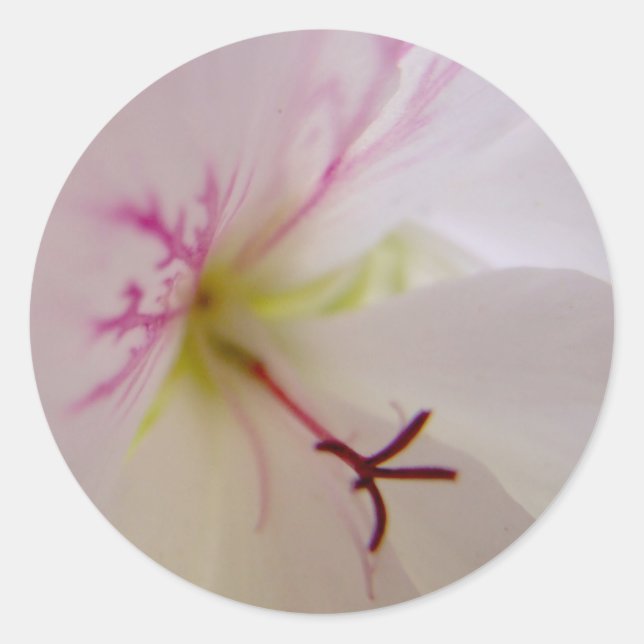 Pegatinas del Centro Geranium (Anverso)