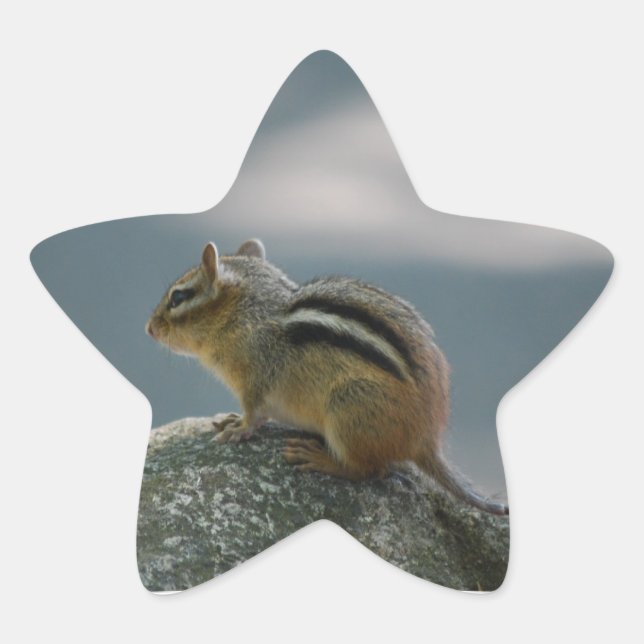 Pegatinas del Chipmunk (Anverso)
