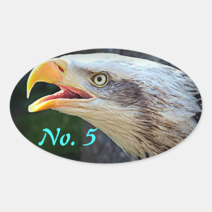 Pegatinas del compartimiento de Eagle calvo