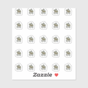 Pegatinas del Concurso de Magnolia Blanca