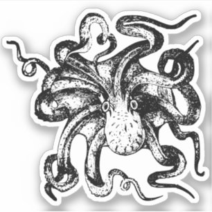 Pegatinas del contorno del pulpo