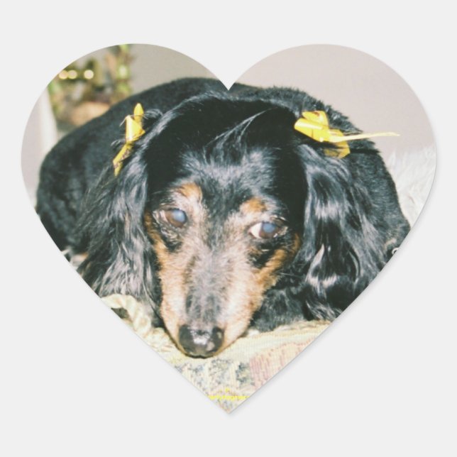 Pegatinas DEL CORAZÓN DE DACHSHUND - HOJA 20 - REG (Anverso)