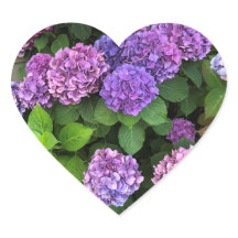 Pegatinas del corazón de Hydrangea