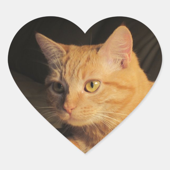 Pegatinas del corazón de Marmalady (Anverso)