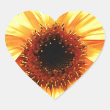 Pegatinas del corazón del girasol
