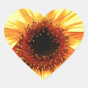 Pegatinas del corazón del girasol