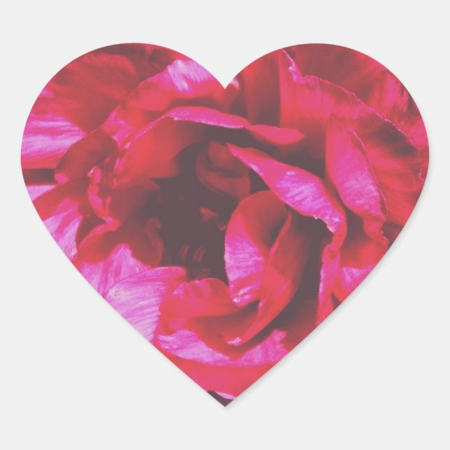 Pegatinas del corazón Rosa Rosy (Anverso)