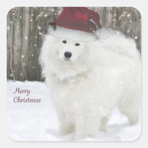 Pegatinas del día de fiesta del samoyedo--20
