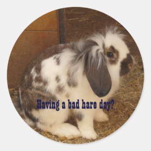 Pegatinas del Día de la Rasa Mala