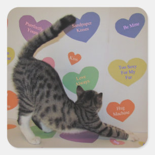 Pegatinas del Día de San Valentín de Wyatt el Gato