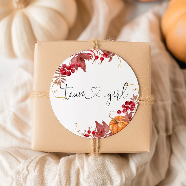 Pegatinas del equipo de naranjas de calabaza (Subido por el creador)