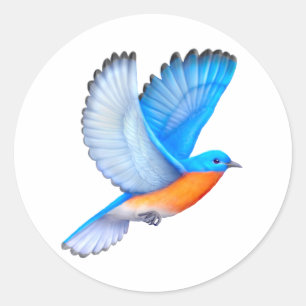 Pegatinas del este del Bluebird que vuelan