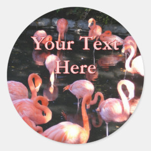 Pegatinas del flamenco