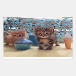 Pegatinas del gatito del cumpleaños
