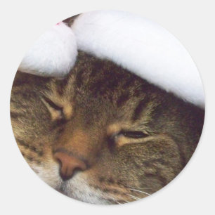 Pegatinas del gatito del navidad