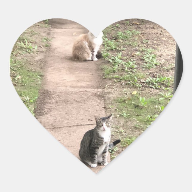 Pegatinas del gato (Anverso)