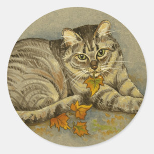 pegatinas del gato de otoño de 4872