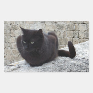 Pegatinas del gato negro