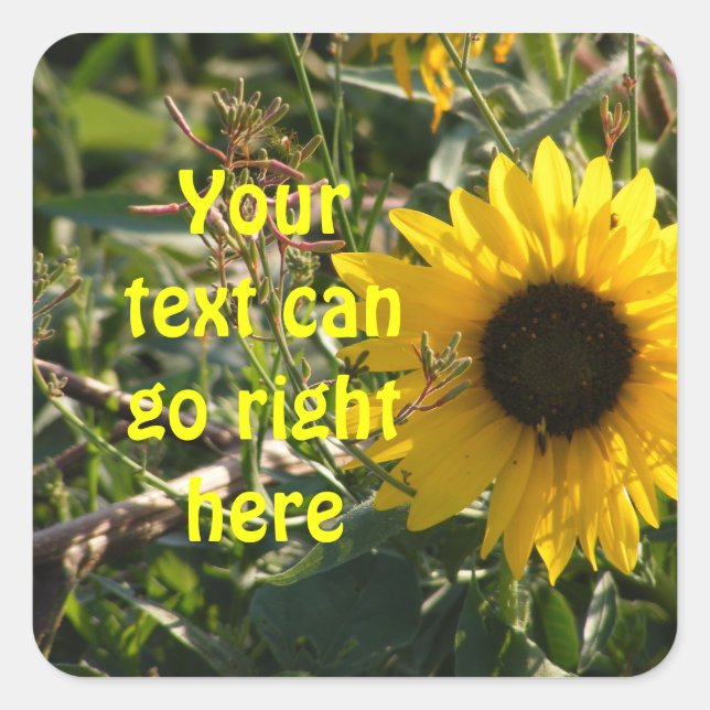 Pegatinas del girasol (Anverso)