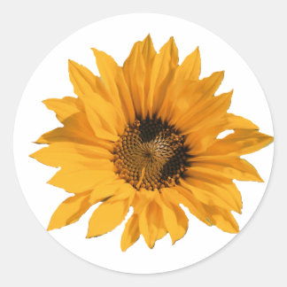 Pegatinas del girasol