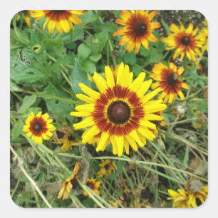 Pegatinas del girasol