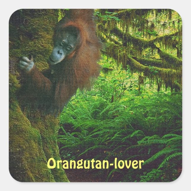 Pegatinas del Gran Simio de Orangutan (Anverso)