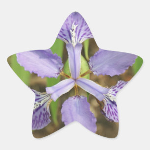 Pegatinas del iris de la estrella