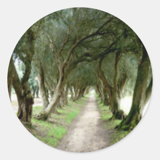 Pegatinas del Jardín de Olivos (Anverso)