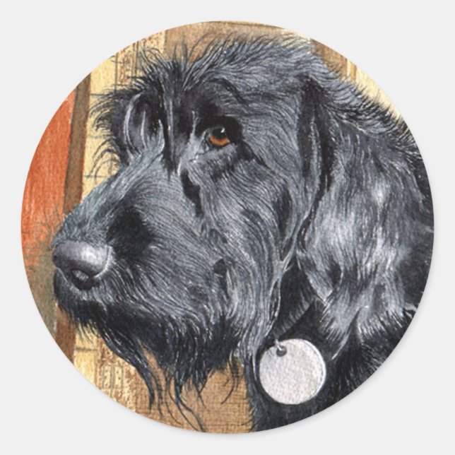 Pegatinas del Labradoodle Negro #1 (Anverso)