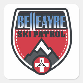 Pegatinas del logotipo de BSP