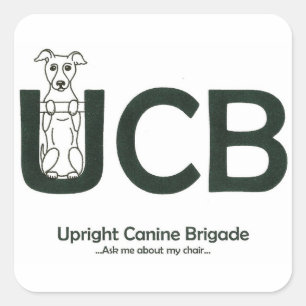 PEGATINAS del logotipo de la UCB