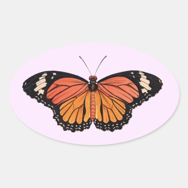 Pegatinas del Monarch Butterfly Oval (Anverso)