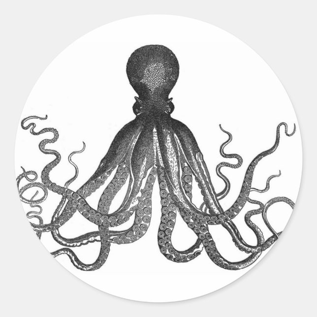 Pegatinas del Octopus (Anverso)