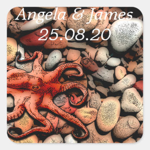 Pegatinas del Octopus