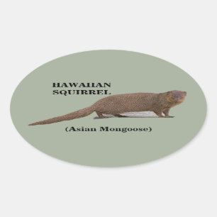 Pegatinas del Oval de la ardilla hawaiana (la mang