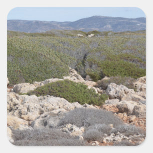 Pegatinas del paisaje de Chipre