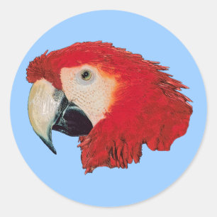 Pegatinas del pájaro del loro del Macaw