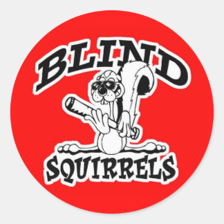 PEGATINAS del parabrisas BS