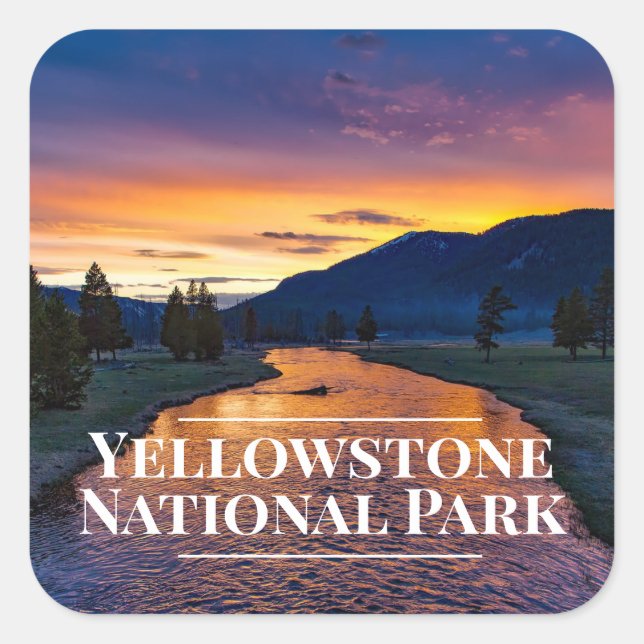 Pegatinas del Parque Nacional Yellowstone (Anverso)