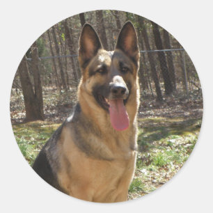 Pegatinas del Pastor Alemán