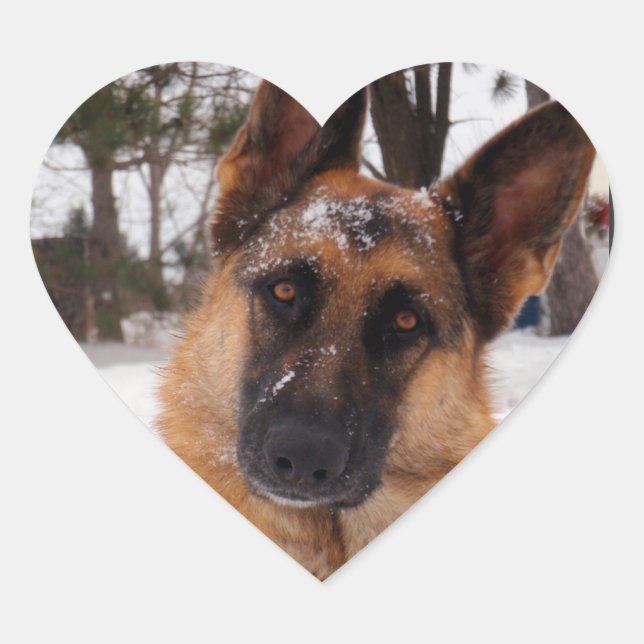 Pegatinas del Pastor Alemán (Anverso)