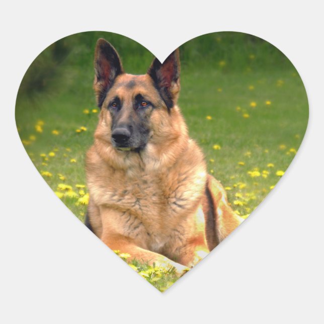 Pegatinas del Pastor Alemán (Anverso)