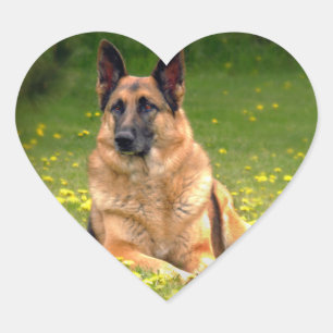 Pegatinas del pastor alemán